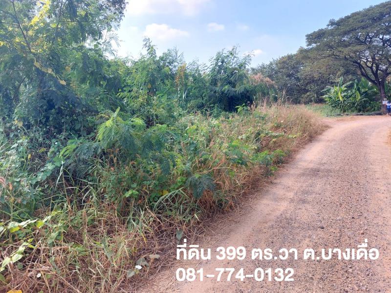 ที่ดิน 5999999 ปทุมธานี เมืองปทุมธานี บางเดื่อ
